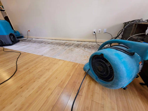 Professional Sewage Cleanup technician working in Isle of Palms, SC